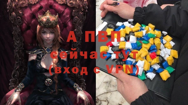 ECSTASY Каменск-Шахтинский
